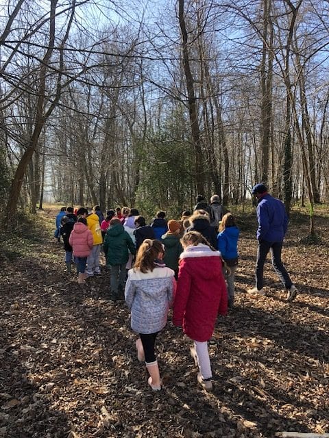 Les élèves de CE2 sont partis 3 jours à Bannay (89) à la découverte de la forêt.